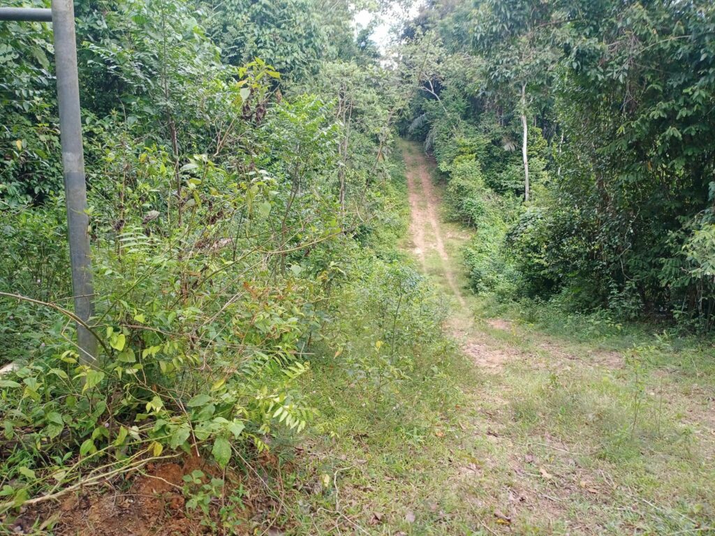 Our new off road training ground...RENAL PARK, Jelebu 13